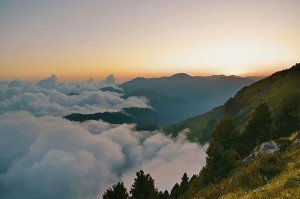 软件测试入门到自动化测试怎么学？学习路径、工具选型与进阶指南
